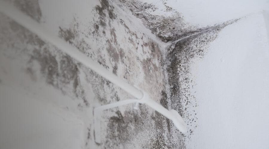 Why choose water damage restoration service for emergency water extraction services in Atlantae